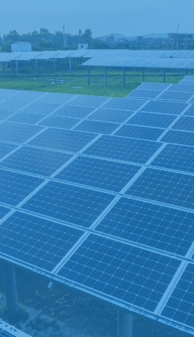 Bekijk het gehele assortiment